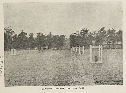 Bancroft Ave 1907, looking east