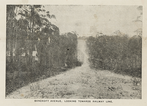 Bancroft Ave 1907, looking towards railway line