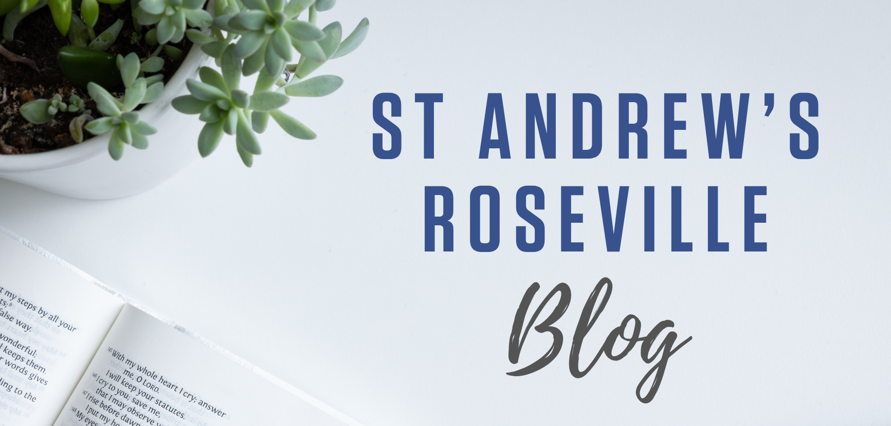 blog